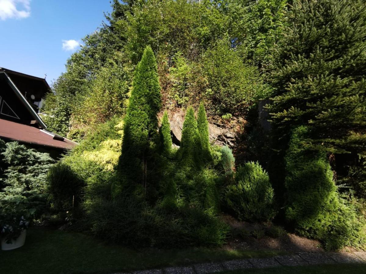 Haus Am Bach Apartment Kirchberg in Tirol Exterior photo